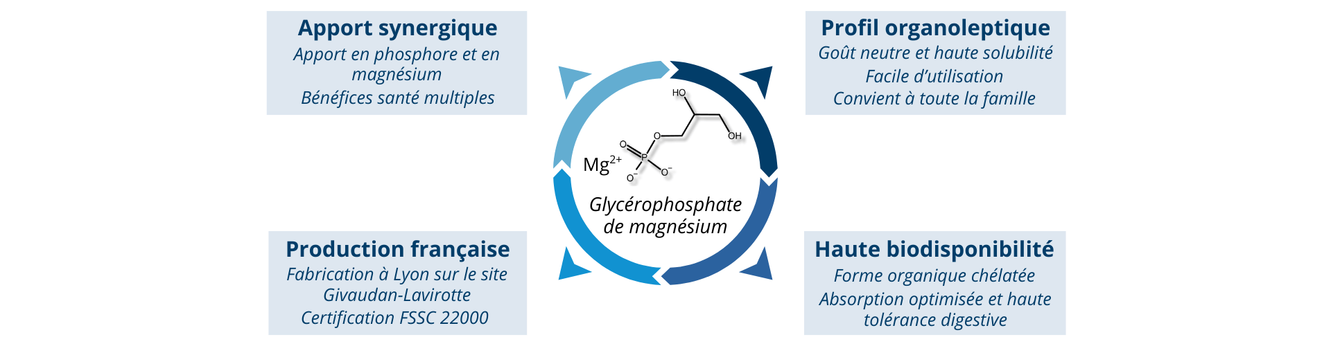 Les atouts du glycérophosphate de magnésium dans PhosphoMag